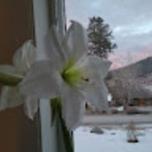 Meet your Posher, Christine